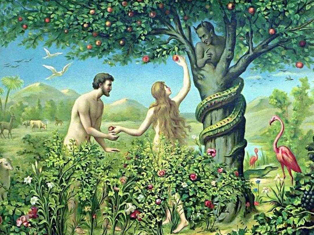 Адам И Ева Изобильный Магазин